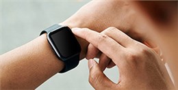 EPT電池品質高，鎳氫和鋰電都表現不俗